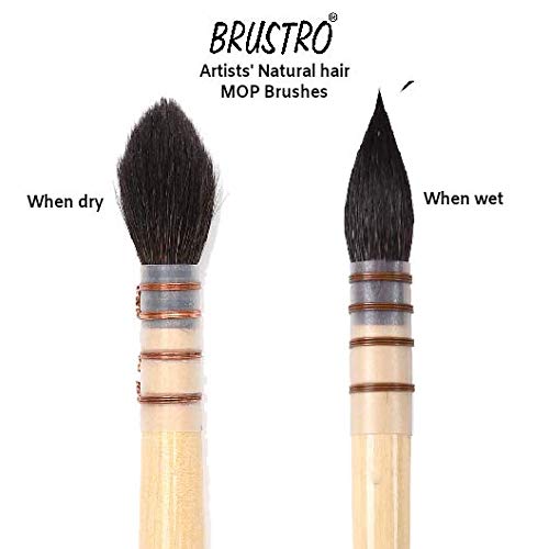 Brustro brushes deals