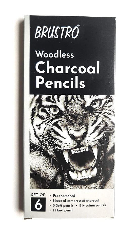 Brustro Woodless Charcoal Pencil Set of 6 (3 Soft, 2 Medium,1 Hard)